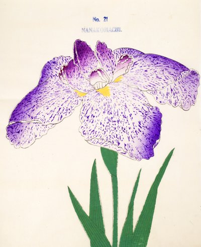 Nanakomachi, nº 21, 1898 de Japanese School
