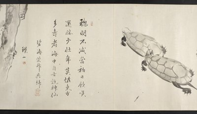 Ou. 14872, f.36, Duas tartarugas, de Yoshida Seisai (rolo de mão) de Japanese School