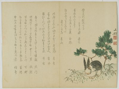 Coelho sob New Years Pine, c.1860 (xilogravura) de Japanese School