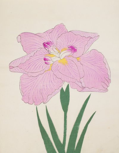 Shu-Fu-Raku, nº 58, 1890 (impressão em xilogravura a cores) de Japanese School