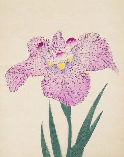 Tanka-No-Koe, nº 15, 1890 (impressão em xilogravura a cores) de Japanese School