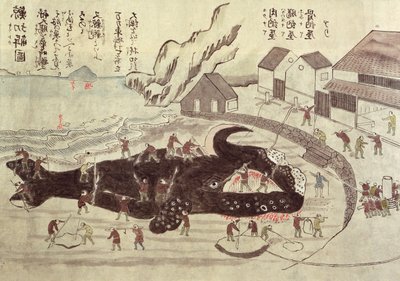 A articulação de uma baleia, final do século 19 (gravura a cores) de Japanese School