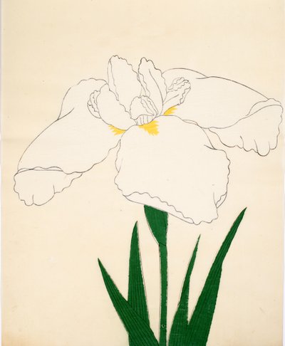 Tsuru-No-Kegoromo, nº 33, 1890 (impressão em xilogravura a cores) de Japanese School
