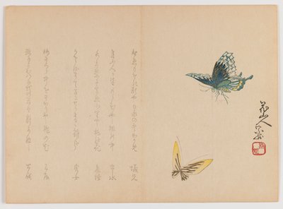 Duas borboletas, c.1860 (impressão em xilogravura, formato horizontal Chûban yoko-e) de Japanese School