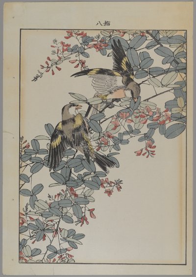 Dois pássaros com flores rosa, período Meiji, c.1868-1912 (impressão woodblock de cor) de Japanese School