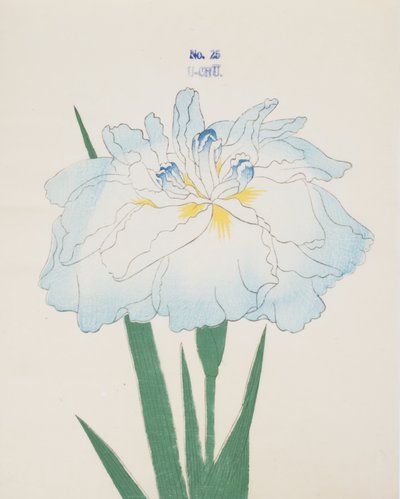 U-Chu, nº 25, 1898 de Japanese School