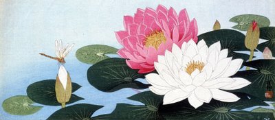 Lírios de água e libélulas - impressão japonesa de Japanese School