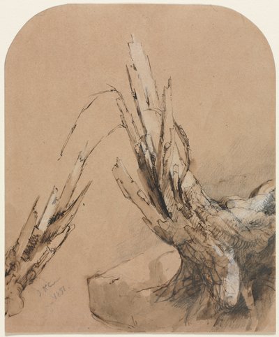 Uma árvore explodida (reto) de Jasper F. Cropsey