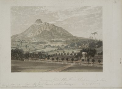 Jardim em Buitenzorg (aquatinta) de Javanese School