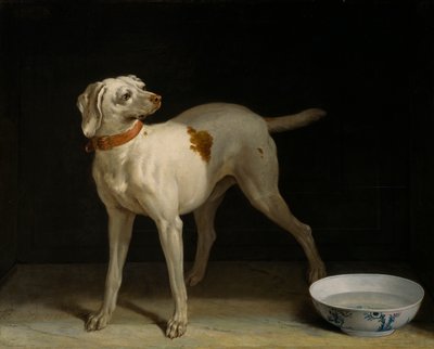 Cão de Jean Baptiste Oudry