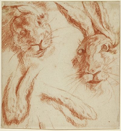 Estudos de coelhos: duas cabeças e dois pares de patas de Jean-Baptiste Oudry
