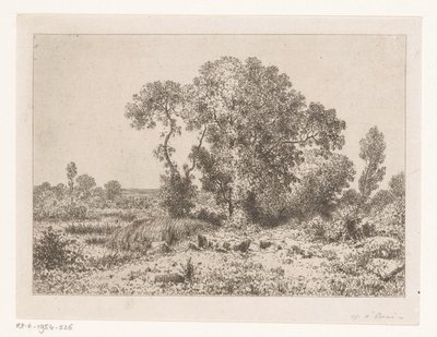 Grupo de árvores perto de um pântano de Jean Alexis Achard