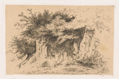 Arbustos sobre um monte de terra de Jean Alexis Achard