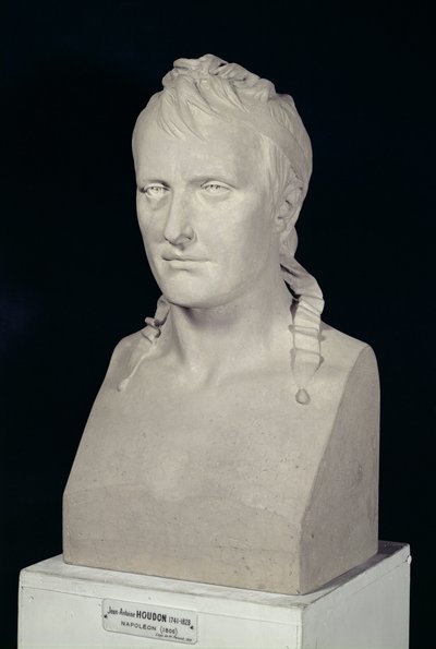 Busto de Napoleão I (1769-1821) 1806 de Jean Antoine Houdon