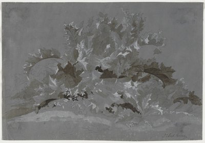 Estudo de ervas daninhas de Jean Antoine Linck