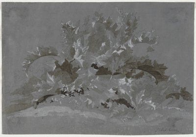 Study of Weeds, 1800-1850. de Jean Antoine Linck