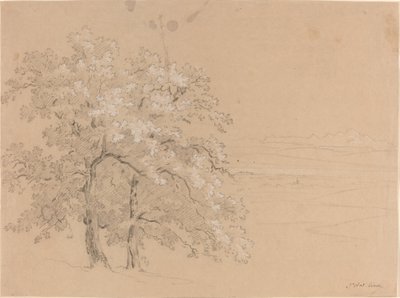 Árvores iluminadas pelo sol antes de uma paisagem panorâmica de Jean Antoine Linck