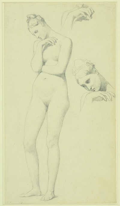 Estudos para a figura de Stratonice, c.1834-40 (lápis sobre papel) de Jean Auguste Dominique Ingres