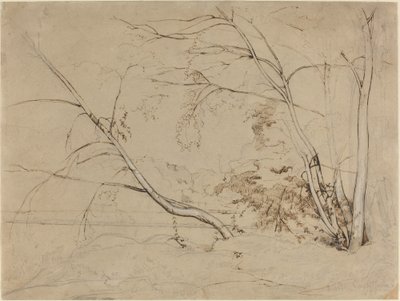 Grupo de árvores em Civita Castellana de Jean Baptiste Camille Corot