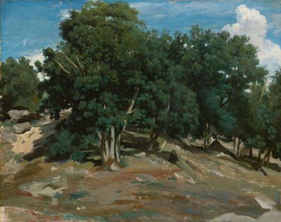 Fontainebleau: Carvalhos em Bas-Bréau, 1832-3 (óleo sobre papel, depositado sobre madeira) de Jean Baptiste Camille Corot