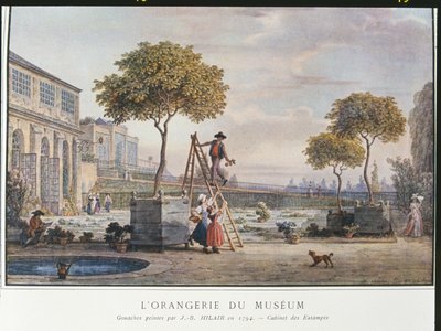 O Orangerie no Museu de Paris em 1794 de Jean Baptiste Hilair