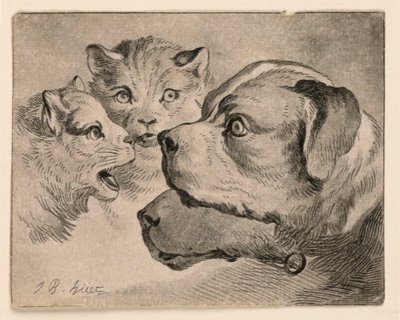 Cabeças de gatos e cachorros de Jean Baptiste Huet