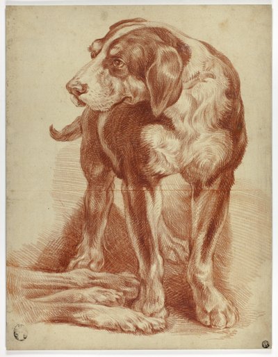 Cão de caça em pé de Jean Baptiste Huet
