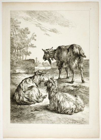 Placa Dezoito de 38 de Oeuvres de J. B. Huet de Jean Baptiste Huet
