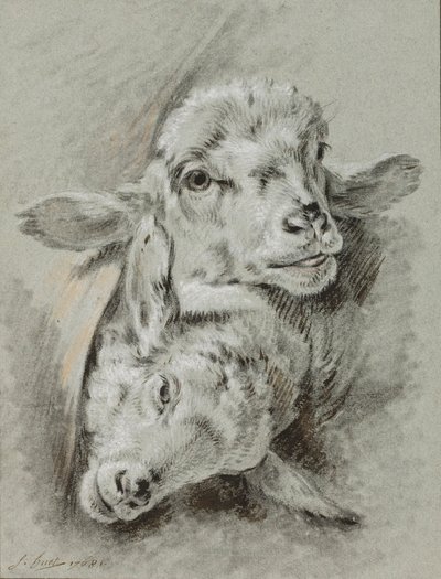 Estudo de duas ovelhas, 1768 (giz e lavagem em papel) de Jean Baptiste Huet