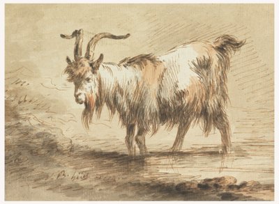 Desenho, Estudo de uma cabra, 1772 de Jean Baptiste Huet