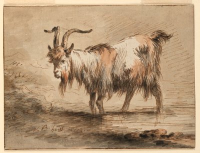 Desenho, Estudo de uma cabra, 1772 de Jean Baptiste Huet