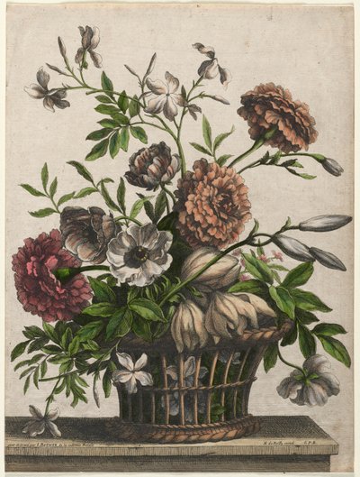 Cravos-de-defunto, Anêmona única, Jasmim... de Jean Baptiste I Monnoyer