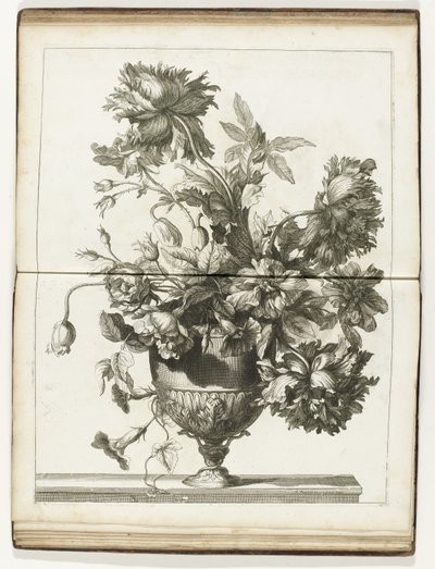 Bloemenvaas
Vários livros de vasos florais feitos de Natural (título da série) de Jean Baptiste Monnoyer