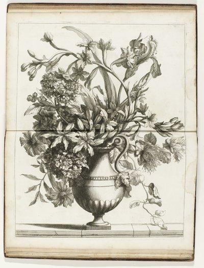Bloemenvaas
Vários livros de vasos florais feitos de Natural (título da série) de Jean Baptiste Monnoyer