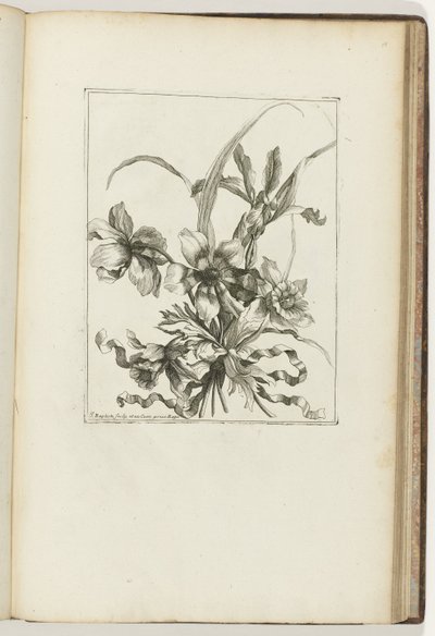 Ramos ligados
Les Petits Bouquets (título da série) de Jean Baptiste Monnoyer