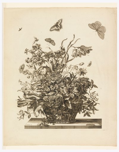 Placa 10, do conjunto de flores em uma cesta de Jean Baptiste Monnoyer
