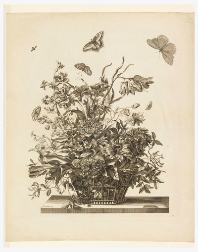 Placa 10, do conjunto de flores em uma cesta de Jean Baptiste Monnoyer