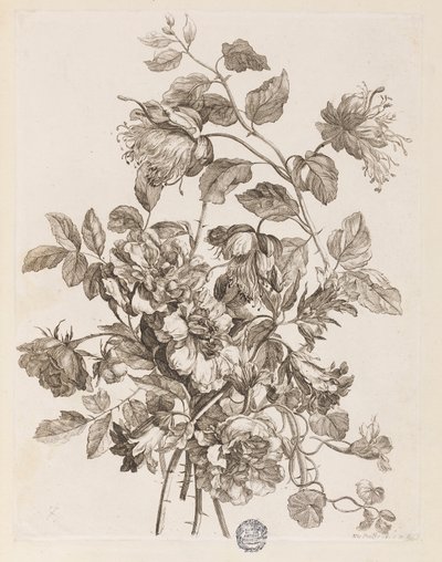 Placa de "O livro de todos os tipos de flores da natureza" de Jean Baptiste Monnoyer