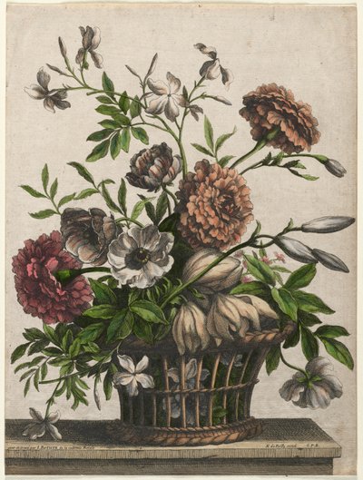Malmequeres, único Anemone, Jasmine .... de Jean Baptiste Monnoyer I