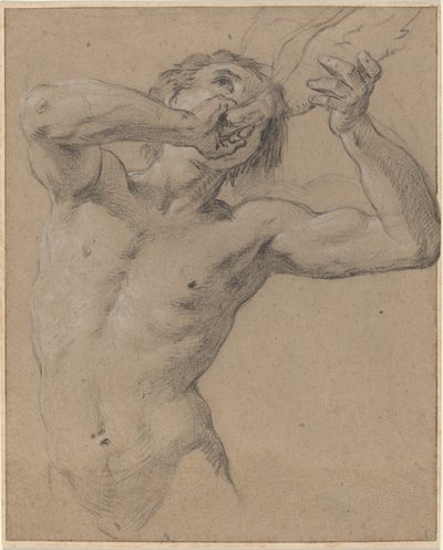 Um Tritão soprando uma concha de Jean Baptiste Nattier