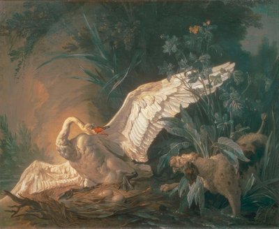 Barbet cachorro atacando um cisne em seu ninho de Jean Baptiste Oudry