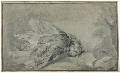 Galinhola morta (Scolopax rusticola) de Jean Baptiste Oudry