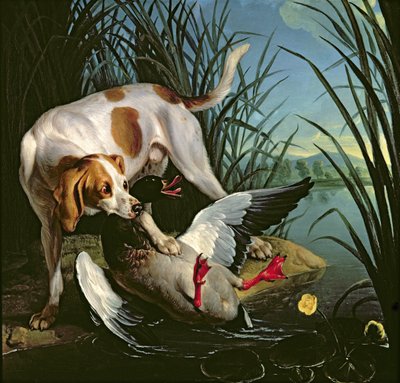 Cão com um pato selvagem de Jean Baptiste Oudry