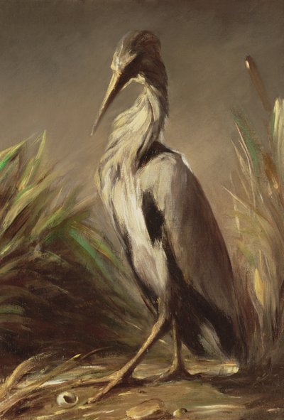 Imagem desconhecida de Jean Baptiste Oudry