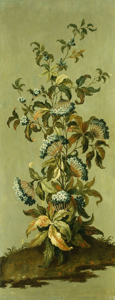 Painéis decorativos com flores de Jean Baptiste Pillement