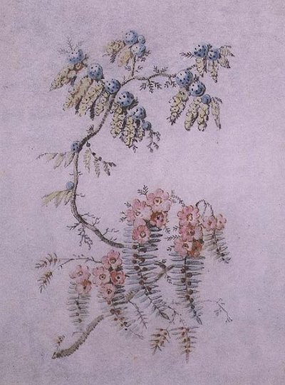 Estudo Decorativo de Flores e Bagas de Jean Baptiste Pillement