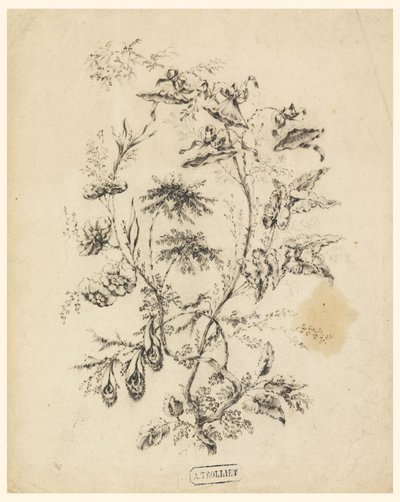 Desenho, Ramo de uma árvore fantástica, 1775-1800 de Jean Baptiste Pillement