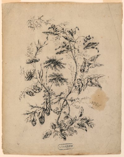 Desenho, Ramo de uma árvore fantástica, 1775-1800 de Jean Baptiste Pillement