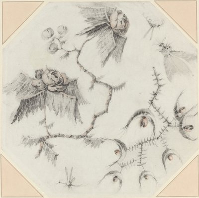 Flores e insetos fantasiosos de Jean Baptiste Pillement