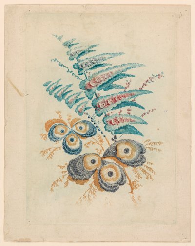 Fantastic Flower Motif de Nouvelle Suitete de Cahiers de Fleurs Idéales de Jean Baptiste Pillement